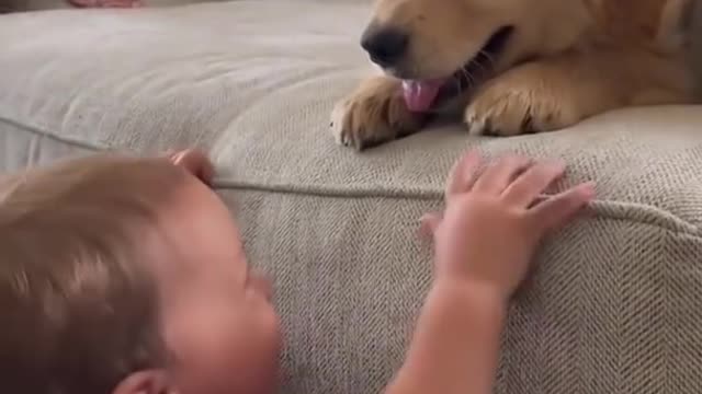 Baby Kisses Puppy!