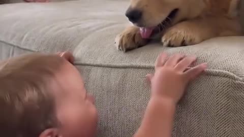 Baby Kisses Puppy!