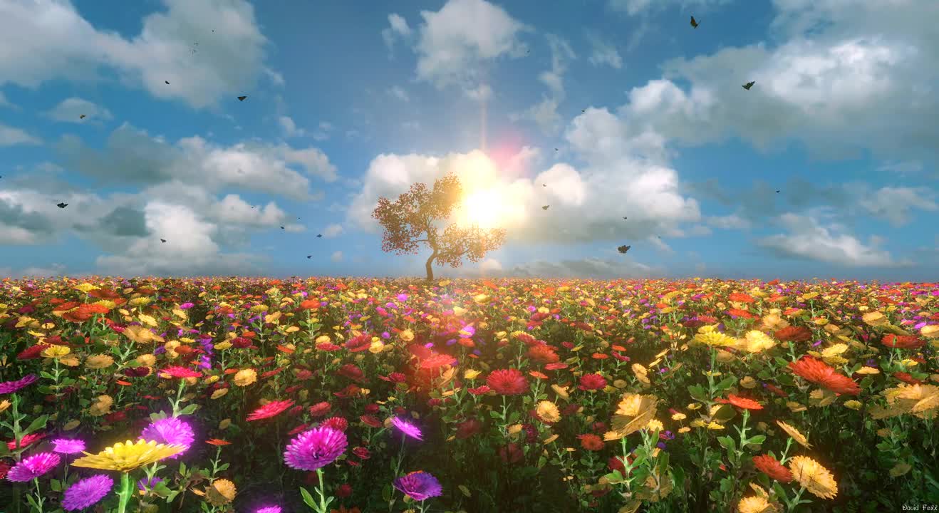 Beautiful scenery with full of flowers on which butterflies are hovering