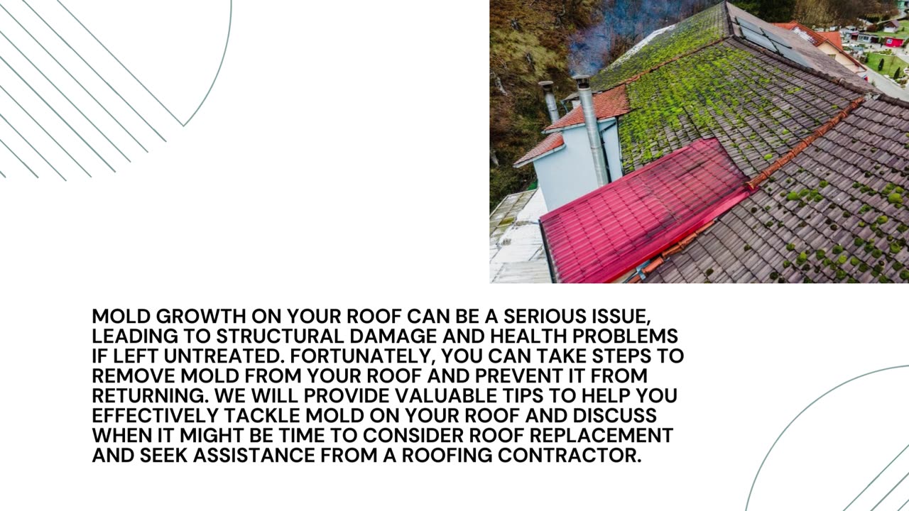 Tips to Remove Mold from Your Roof at Home