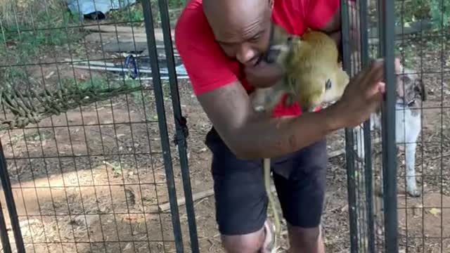 Our morning routine 🐒🐒😊