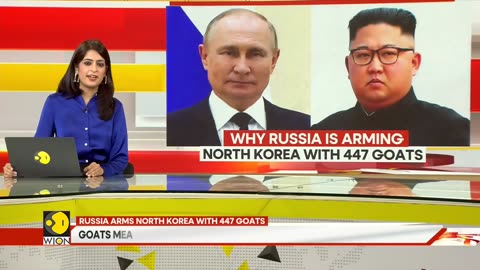 Gravitas: Russia arms North Korea with 447 goats | World News