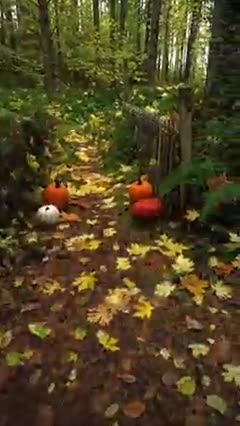 “Just don't give up trying to do what you really want to do. Where there is love and inspiration