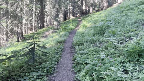 Get Addicted to Nature – Crescent Mountain Trail – Willamette National Forest – Central Oregon – 4K