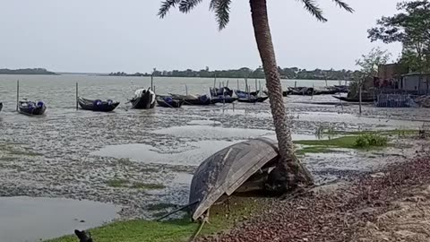 Sundarban Bangladesh