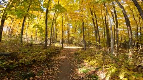 🥬 🍂 Health Talk Part 2 On The NCC Hiking Trails In Ottawa 🌴 Canada 🍁 Tanning In The Woods 🪵☀️