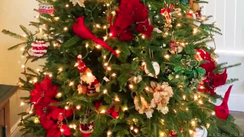 Loving The Christmas Spirit!!