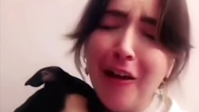 Who Needs This Secret to using your dog's natural intelligence to stop bad behavior?
