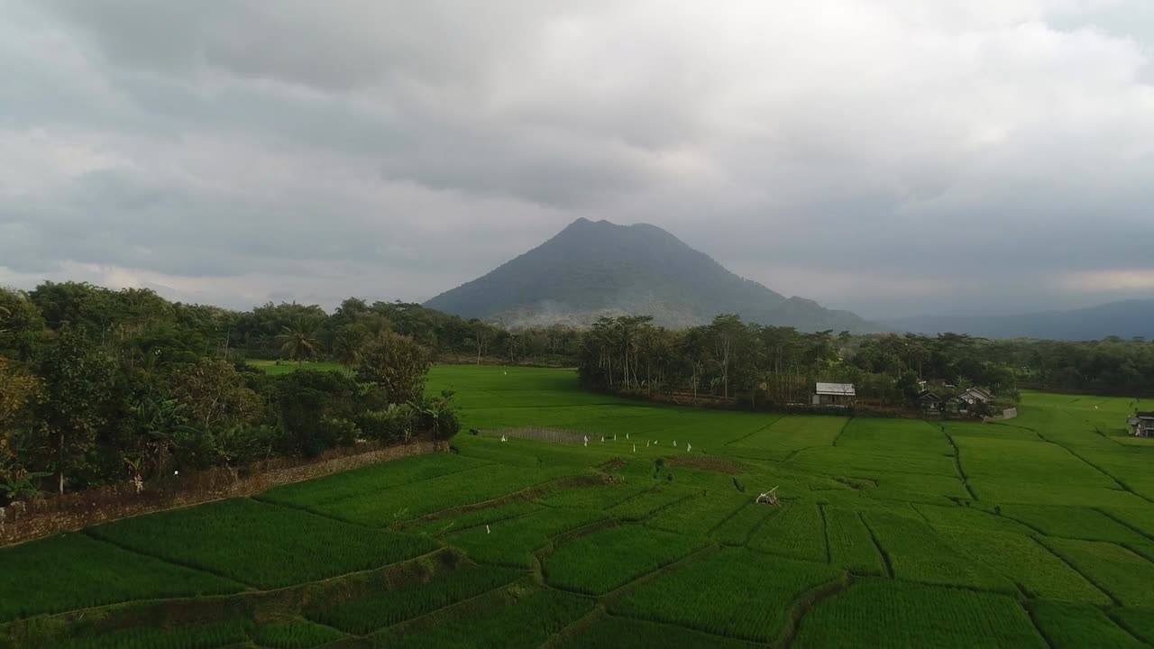 Lacandon Legacy Navigating the Mysteries of Mexico's Ancient Forest