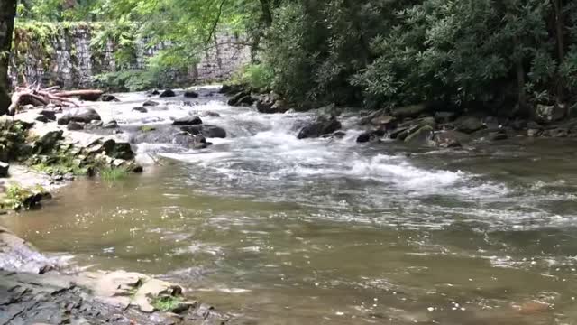 Stream in the Great Smoky Mountains