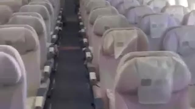 Man flys solo on plane