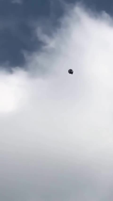 Solar Flare effect on birds