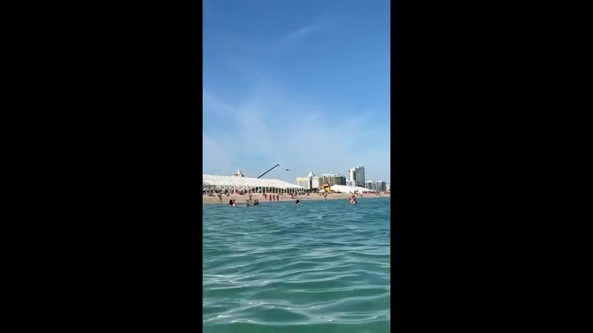 Woman unknowingly filime saebird as it attack her..