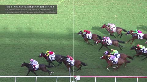 Horse_Race_2022060508_Chinese