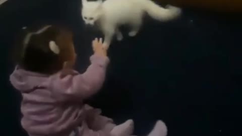 Cute Cat Vs Cute Baby fight Funny viral video 🤣
