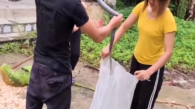 Catch a cobra