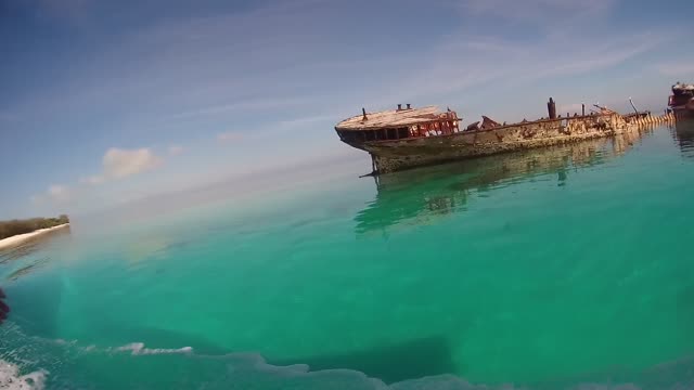 Heron Island Shipwreck and Coral Waters Boatride