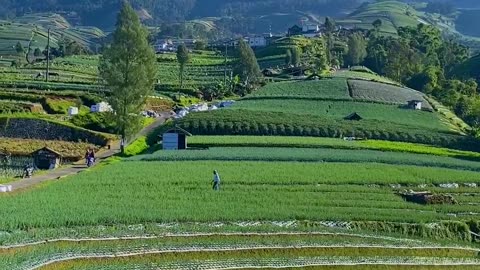 beautiful high mountain views located in Indonesia