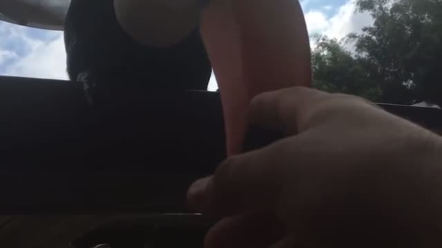 Joãozinho da Matinha