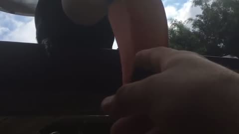 Joãozinho da Matinha