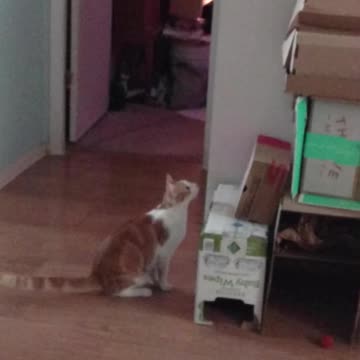 Gotta get the "red dug"