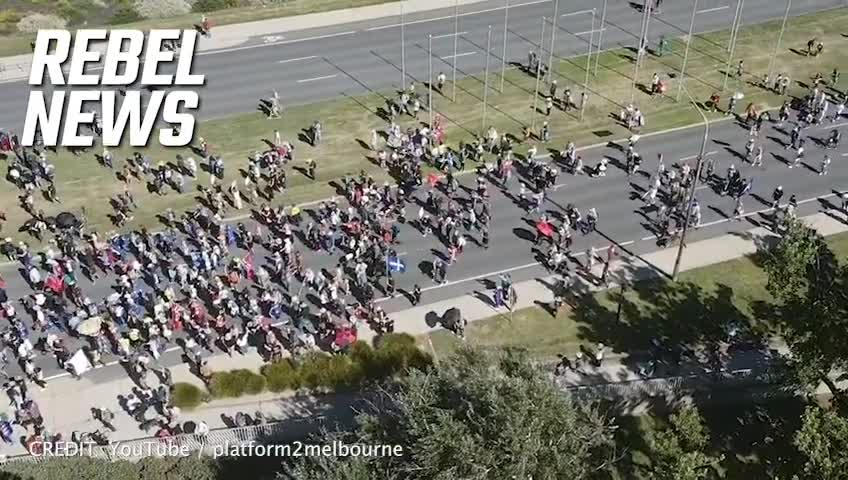 🇦🇺 Australia - Canberra [Feb 12, 2022] Massive crowd walking heading to the Parliament in Canberra!