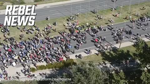 🇦🇺 Australia - Canberra [Feb 12, 2022] Massive crowd walking heading to the Parliament in Canberra!