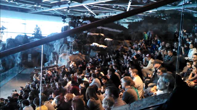 Chicago Christmas 2014