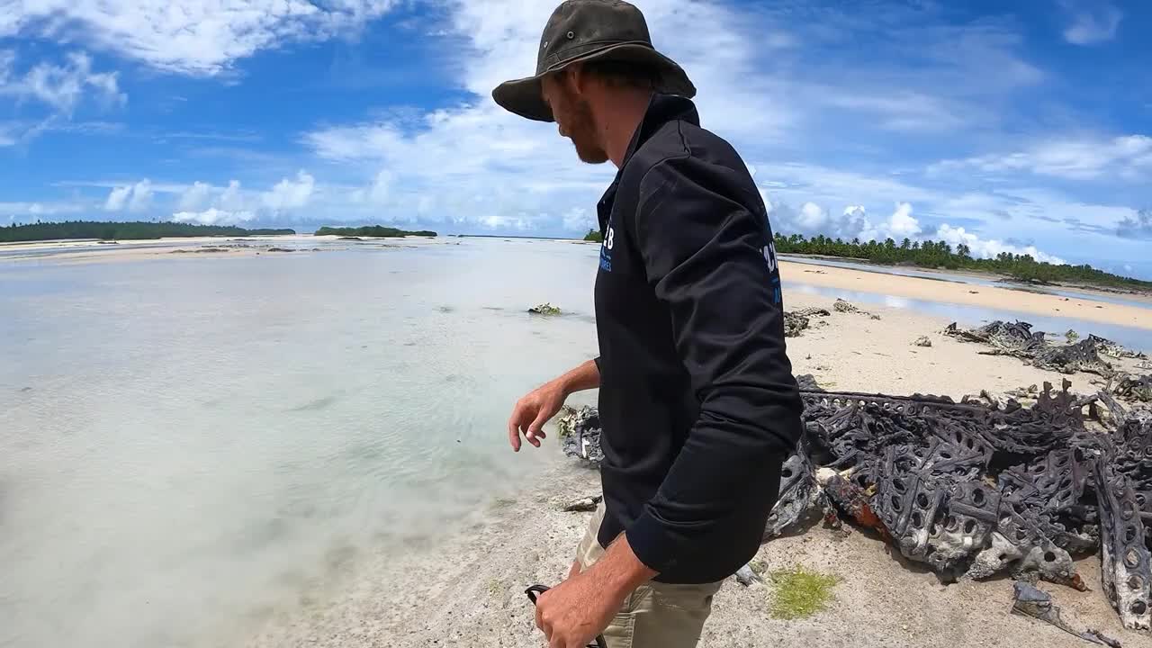 big crab in water