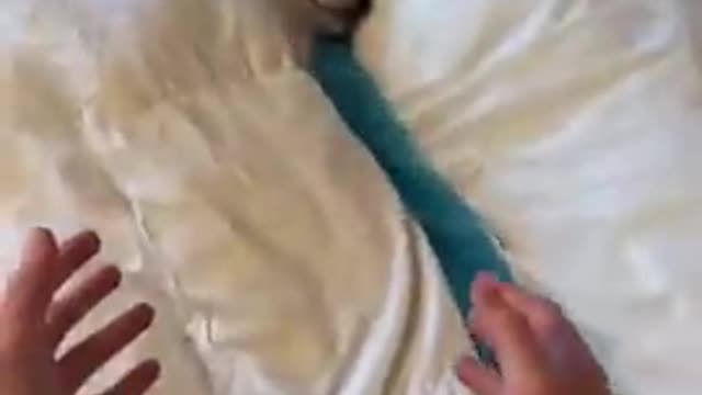 Puppy Isn't Ready to Wake Up Yet