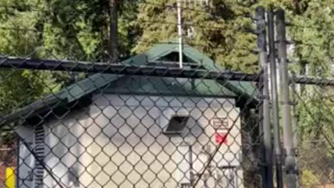 Small cell antenna?