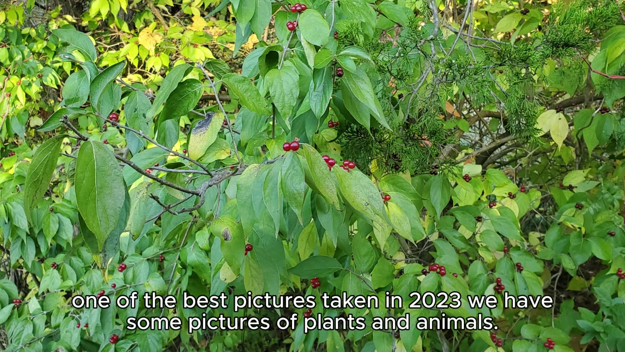 Missouri Nature Slide Show by Russell Blade