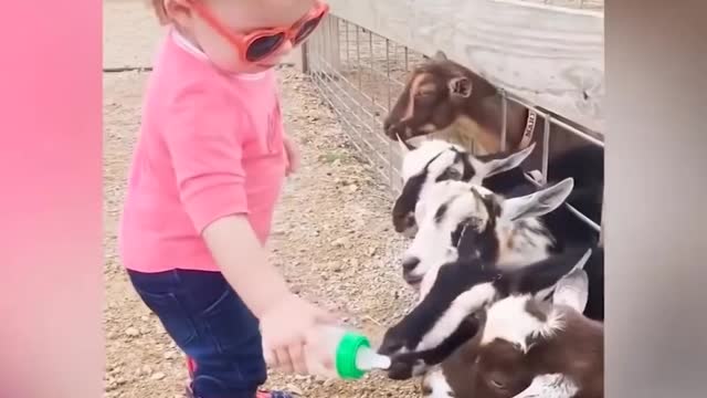 Very funny clips of animals with children, something amazing 😁😁😁