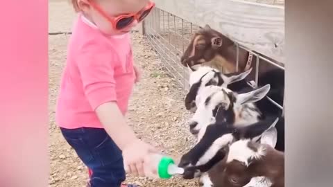 Very funny clips of animals with children, something amazing 😁😁😁