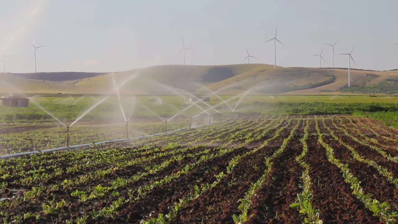 Food Crisis Timeline: We Wonder What's Actually Going On???