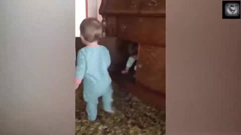 Compilation of Cute Baby Videos