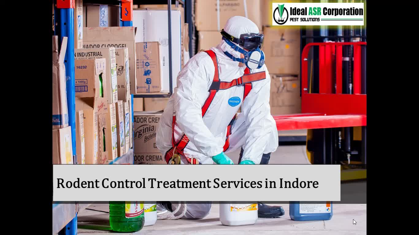 Rodent Control Treatment Services in Indore – IdealASR