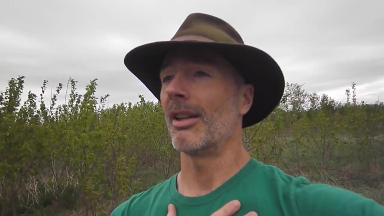 Qigong at the Center for Living Well in Iola, WI