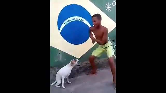 Perro Bailando