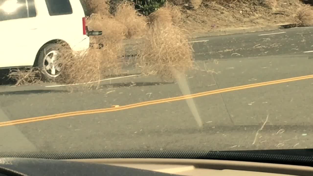 Runaway tumbleweeds create unique road hazard