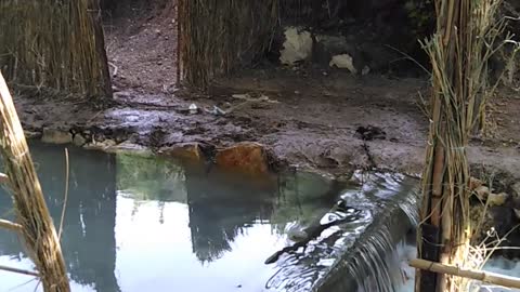 Fresh water. And beautiful nature.