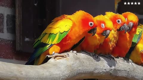 #beautiful images of the animal world#