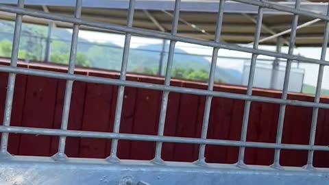 2022-5-29 Walking machine-2