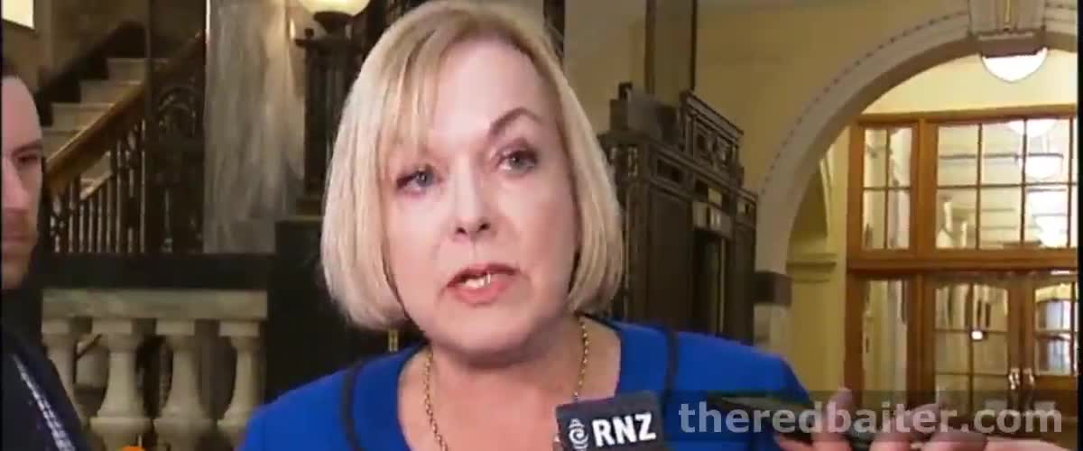 NZ Press Gallery accuse Judith Collins of Race Baiting