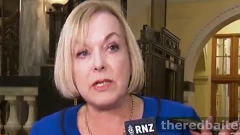 NZ Press Gallery accuse Judith Collins of Race Baiting