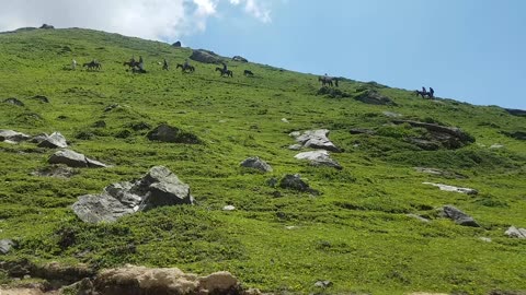 Ratti Gali Lake p 1