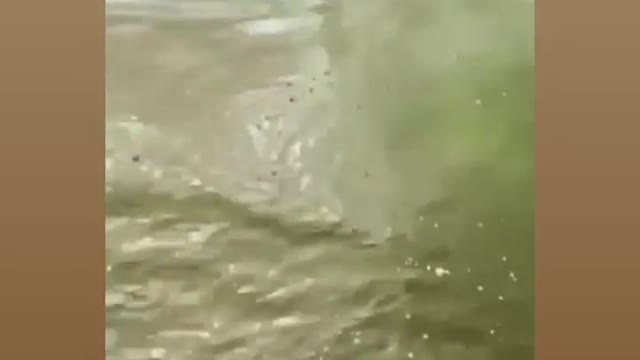Interested video
