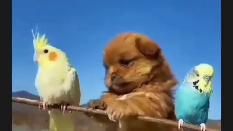 so funny