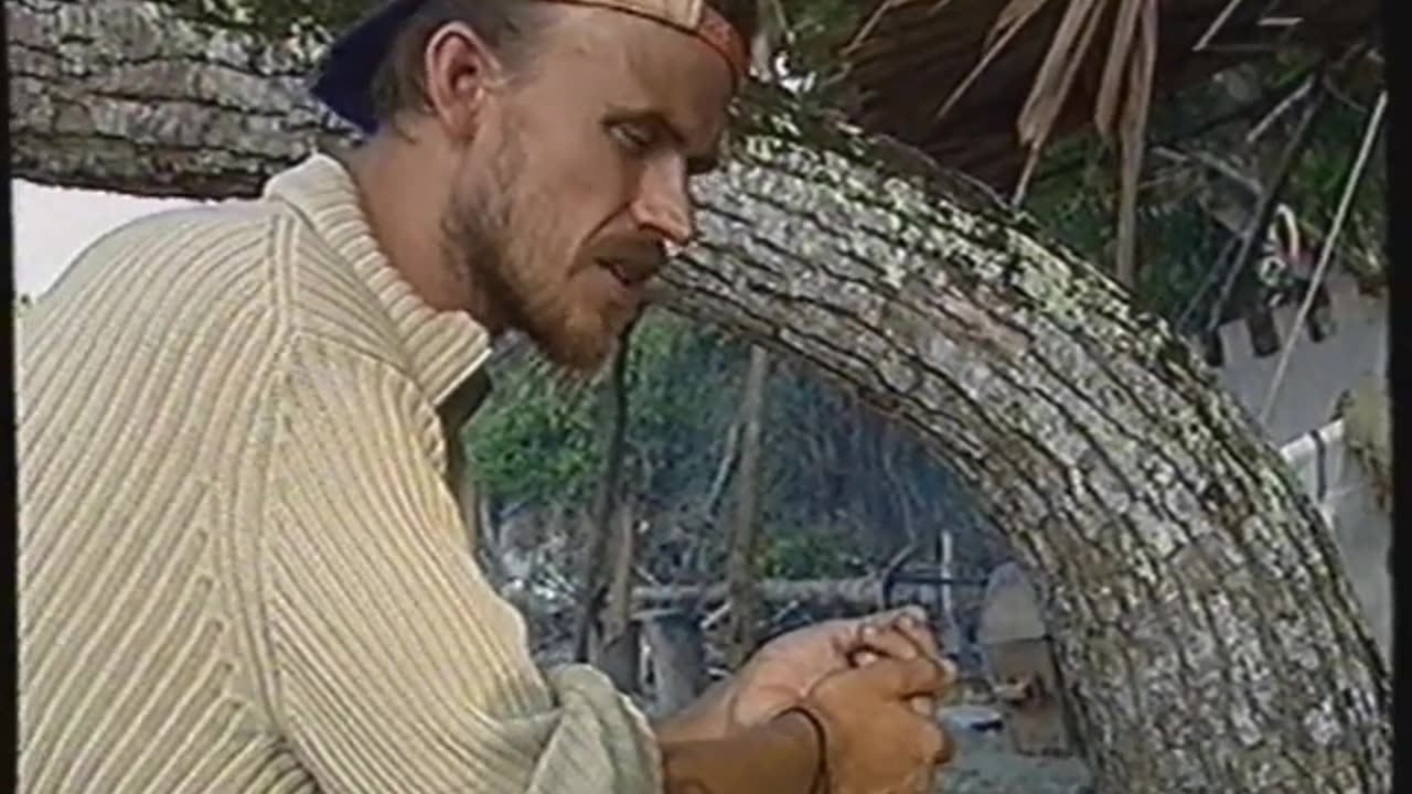 Robinson S04E12