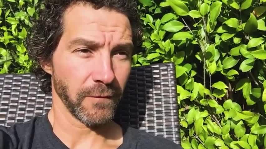 Brave Divers Save Injured Shark